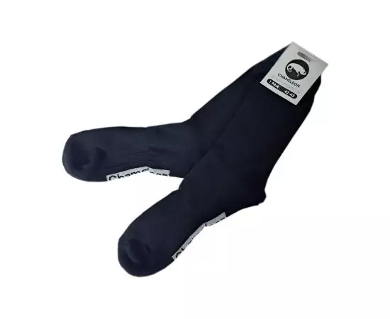 Носки Chameleon outdoor утепленные, Размер носков: 35-41