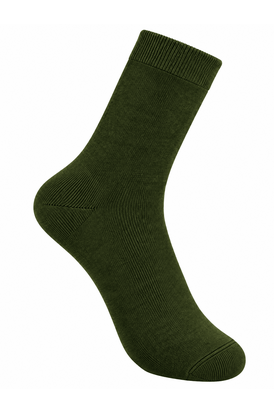 Шкарпетки Chameleon long Tan standart, Размер носков: 41-46