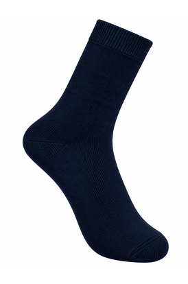 Шкарпетки Chameleon long Navy standart, Размер носков: 41-46