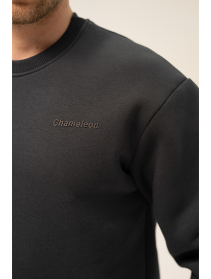 Світшот Warm Graphite, Розмір: 44-46 (S), зображення 4